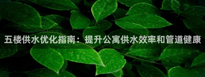 球友会聚餐发言稿简短